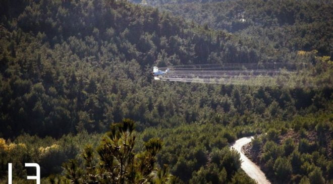 Αυξήθηκαν τα κουνούπια στους ορυζώνες της Θεσσαλονίκης και της Ημαθίας – Ψεκασμοί από αέρος