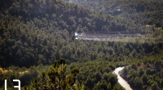 Μεγάλη αύξηση στην εμφάνιση κουνουπιών σε Θεσσαλονίκη και Ημαθία – Ξεκινάνε νέοι ψεκασμοί