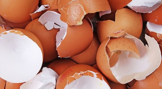 Μην πετάτε τα τσόφλια από τα αυγά