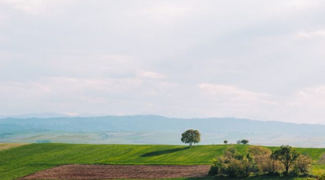 Εξτρα 80 εκατ. ευρώ για τη Βιολογική Γεωργία