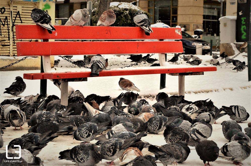 καιρός Θεσσαλονίκη χιόνι 