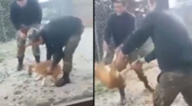 Εντονες αντιδράσεις για την κακοποίηση σκύλου από φαντάρους – Διατάχθηκε έρευνα (ΒΙΝΤΕΟ)