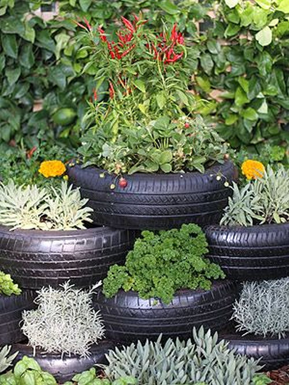 15-Creative-WAys-to-Make-an-Herb-Garden-14