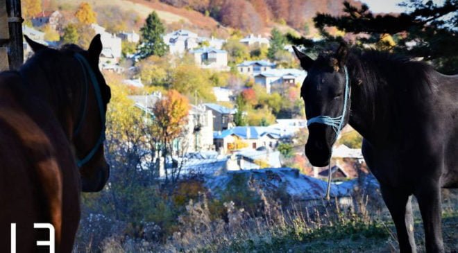 Aλογο δάγκωσε 5χρονο στο Δασικό Χωριό στην Καβάλα