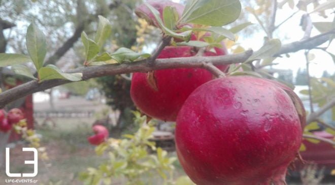 Πρωτοχρονιά: Εθιμα απ’όλη την Ελλάδα