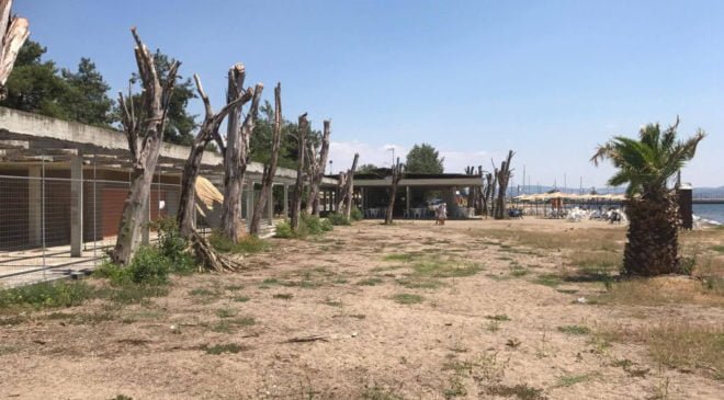 Αποκαρδιωτική εικόνα στην πλαζ της Αρετσούς (ΒΙΝΤΕΟ)