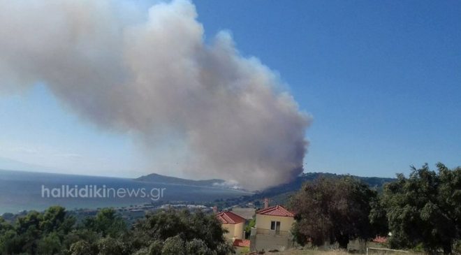 Χαλκιδική: Χωρίς σαφή σχέδια εκκένωσης σε περίπτωση πυρκαγιάς
