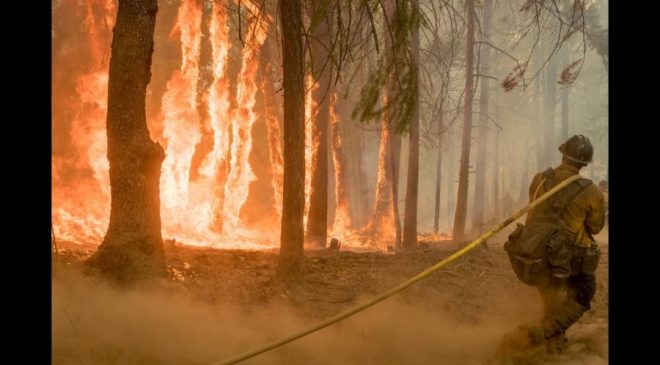 Πυρκαγιά στην Ηλεία – Δεν απειλούνται κατοικημένες περιοχές
