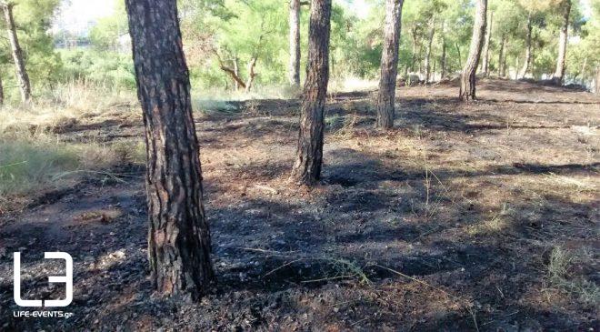 Θεσσαλονίκη: Φωτιά στο Σέιχ Σου