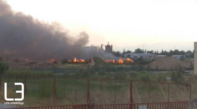 Θεσσαλονίκη: Φωτιά σε ξερά χόρτα στον Χορτιάτη