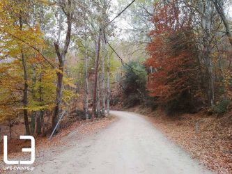 Θεσσαλονίκη: Αίσιο τέλος η περιπέτεια για πατέρα και κόρη στον Χορτιάτη