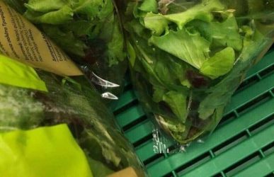 Δείτε τι βρέθηκε σε σακούλα με σαλάτα γνωστής ελληνικής εταιρείας σούπερ μάρκετ (ΦΩΤΟ)