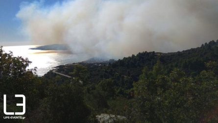 Υψηλός ο κίνδυνος πυρκαγιάς στη Χαλκιδική