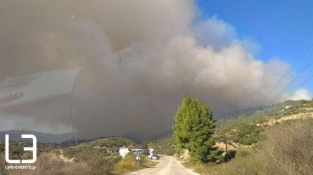 36 πυρκαγιές το τελευταίο 24ωρο σε όλη την Ελλάδα