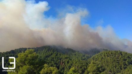 Πολύ υψηλός ο κίνδυνος πυρκαγιάς σήμερα Τετάρτη (ΧΑΡΤΗΣ)