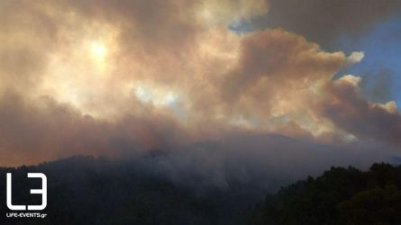 Εύβοια: Μεγάλες διαστάσεις λαμβάνει η πυρκαγιά (ΒΙΝΤΕΟ)