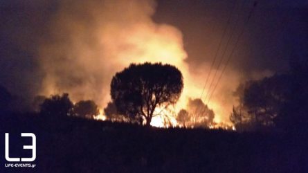Φωτιά στη Νέα Πέραμο: Air Tractor έκανε αναγκαστική προσθαλάσσωση