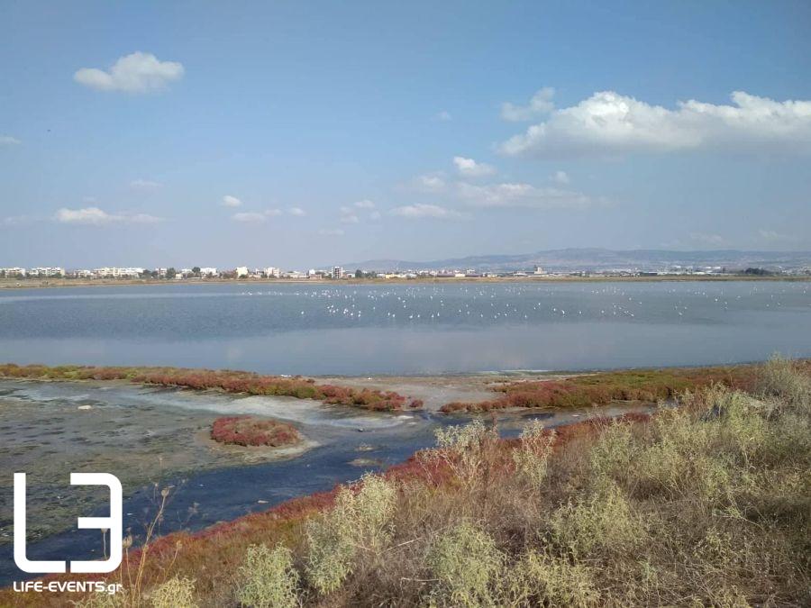 Δήμος Αμπελοκήπων Μενεμένης Θεσσαλονίκη