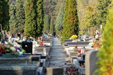 Γιατί επιλέγουν να φυτεύουν κυπαρίσσια στα νεκροταφεία;