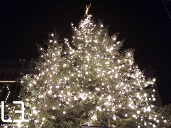 Θεσσαλονίκη: Που μπορείτε να αποθέσετε τα χριστουγεννιάτικα δένδρα