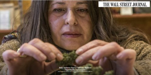 Αφιέρωμα της Wall Street Journal στις επιχειρηματικές ευκαιρίες στην Ελλάδα στον τομέα της κάνναβης