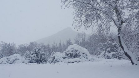 Χειμερινές εικόνες μέσα από το φακό των αναγνωστών του Life-Events.gr