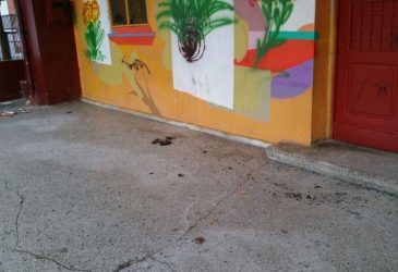 Τούμπα: Συνεχείς βανδαλισμοί σε δημοτικό σχολείο