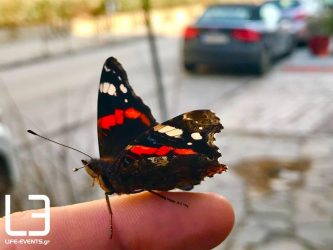 Μία… Βανέσσα Αταλάντη βολτάρει στη χειμωνιάτικη Θεσσαλονίκη (ΒΙΝΤΕΟ & ΦΩΤΟ)
