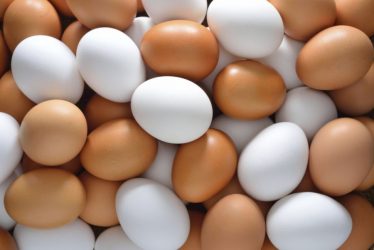 Η… διαφορά μεταξύ άσπρων και καφέ αυγών