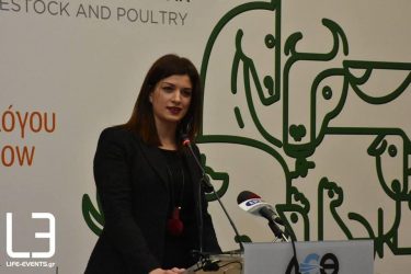 Κ. Νοτοπούλου: “Το έγκλημα ήταν οργανωμένο”