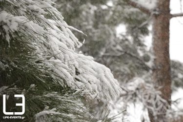 Μερομήνια: Τι καιρό θα κάνει τα Χριστούγεννα και την Πρωτοχρονιά