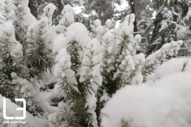 Ανέμους άνω των 140 χλμ/ώρα και 2.000 κεραυνοί προκάλεσε η «Ωκεανίς»