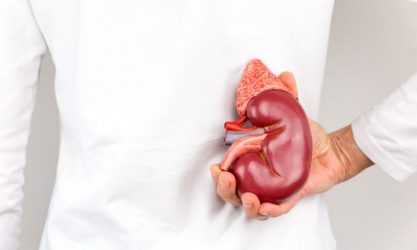 10 πράγματα που βλάπτουν τα νεφρά μας