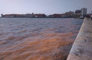 Συντονισμός ΥΜΑ-Θ και Φορέα Διαχείρισης Θερμαϊκού για την ερυθρά παλίρροια
