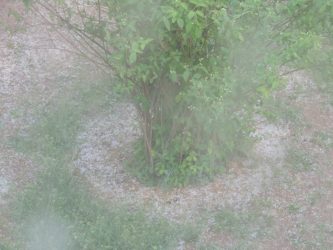«Ασπρισε» από το χαλάζι το Πανόραμα στη Θεσσαλονίκη (ΦΩΤΟ)
