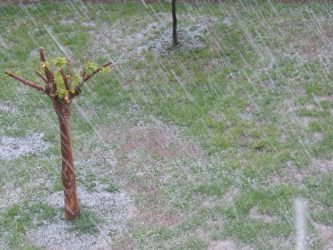 ΕΛΓΑ: Ξεκίνησαν οι αιτήσεις για τις καταστροφές το 2019