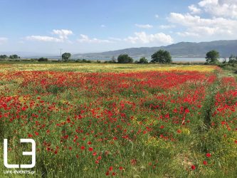 Τι καιρό θα κάνει το τριήμερο της Πρωτομαγιάς – Που θα βρέξει