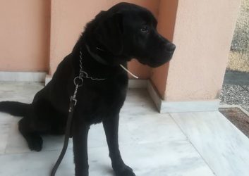 Ο “Ατλας” εντόπισε όχημα που μετέφερε ναρκωτικά στη Θεσσαλονίκη