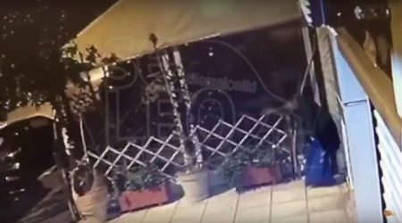 Θεσσαλονίκη: Έκλεψε τα φυτά από τις γλάστρες καταστήματος  (ΒΙΝΤΕΟ)