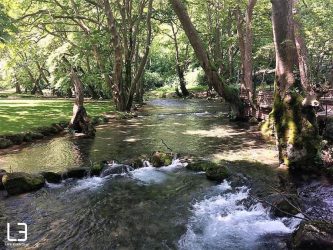 Aλσος Αγίου Νικολάου: Eνας «παράδεισος» στην πόλη της Νάουσας