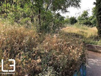 Μία… ζούγκλα στο κέντρο της Θεσσαλονίκης (ΒΙΝΤΕΟ & ΦΩΤΟ)