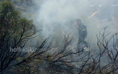 Χαλκιδική: Φωτιά στο νησάκι Διάπορος στη Βουρβουρού (ΦΩΤΟ)