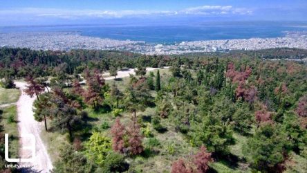 “Η καταστροφή στο Σέιχ Σου δεν είναι τυχαία”