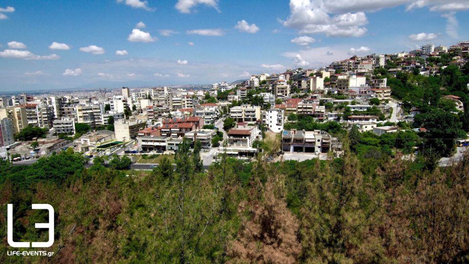 thessaloniki seix sou dentra entomo dasos