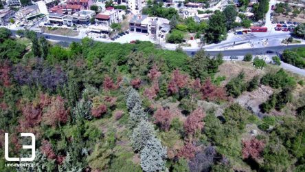 Παρέμβαση για το έντομο που “τρώει” το Σέιχ Σου από τον Ιγν. Καϊτετζίδη