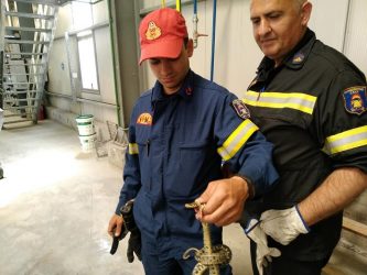 Θεσσαλονίκη: Πυροσβέστες απομάκρυναν φίδια από επιχείρηση (ΦΩΤΟ)