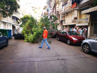 Πτώση δέντρου σε σταθμευμένα οχήματα στη Θεσσαλονίκη
