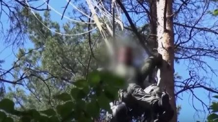Βίντεο – Ντοκουμέντο: Η στιγμή που οι διασώστες εντοπίζουν τον πιλότο του Eurofighter πάνω σε δέντρο
