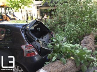 Δέντρο καταπλάκωσε ΙΧ στη Θεσσαλονίκη (ΦΩΤΟ)