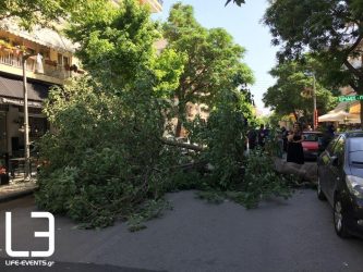 Επτά άτομα τραυματίστηκαν από πτώση δέντρου στη Βοιωτία